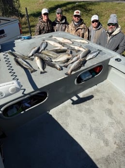 Fishing in Swan Quarter, North Carolina