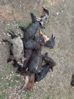 Fishing in Rising Star, Texas