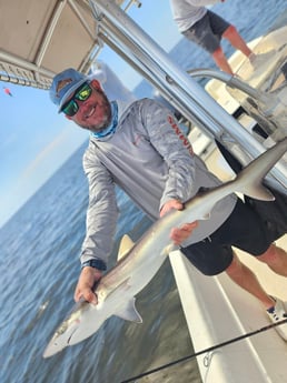 Fishing in Cedar Key, Florida