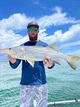 Snook Fishing in St. Petersburg, Florida