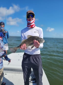Black Drum Fishing in
