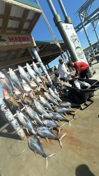 Fishing in Buras, Louisiana