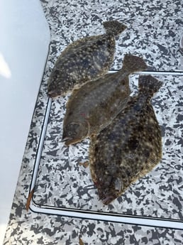 Fishing in Hatteras, North Carolina