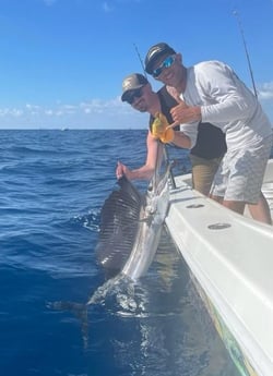 Sailfish Fishing in Riviera Beach, Florida