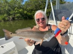 Fishing in St. Petersburg, Florida