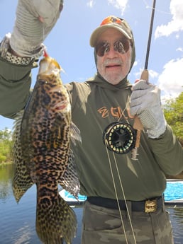 Fishing in Pembroke Pines, Florida