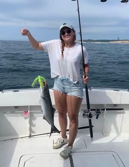 Bluefish fishing in Montauk, New York