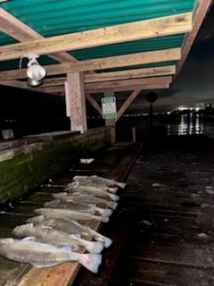 Fishing in Galveston, Texas