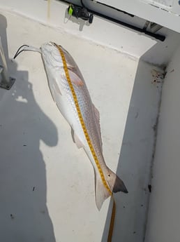 Fishing in Frisco, North Carolina