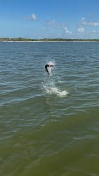 Fishing in Marco Island, Florida