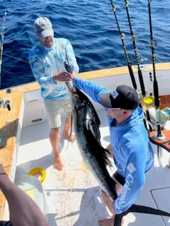 Sailfish Fishing in West Palm Beach, Florida
