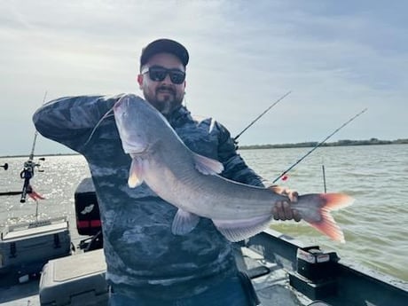 Blue Catfish Fishing in Dallas, Texas