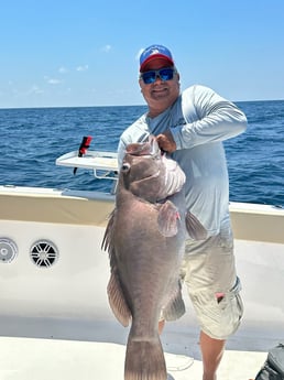 Warsaw Grouper Fishing in Freeport, Texas