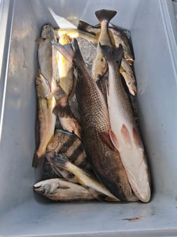 Fishing in Port Orange, Florida