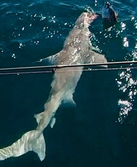 Fishing in Miami Beach, Florida