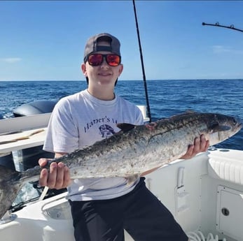 King Mackerel / Kingfish fishing in Port Orange, Florida