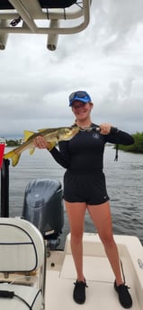 Fishing in Sarasota, Florida