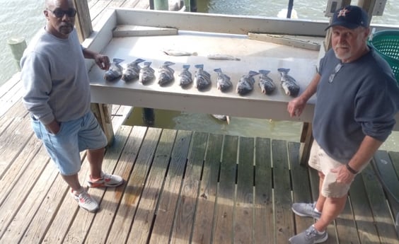 Black Drum Fishing in Houston, Texas