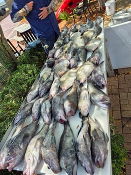 Fishing in Kingsland, Georgia