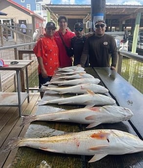 Redfish Fishing in Galveston, Texas