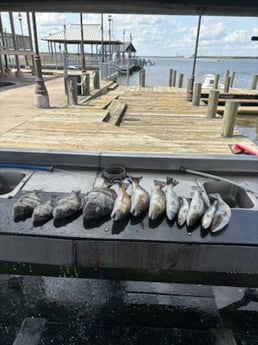 Fishing in Lake Charles, Louisiana