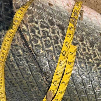 Fishing in Lufkin, Texas