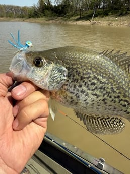 Crappie Fishing in Saint Charles, Missouri
