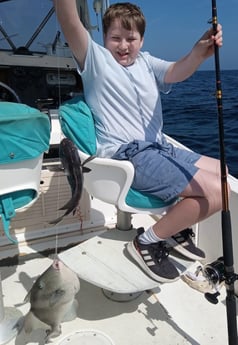 Triggerfish Fishing in St. Marys, Georgia