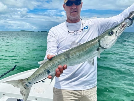 Barracuda fishing in Tavernier, Florida