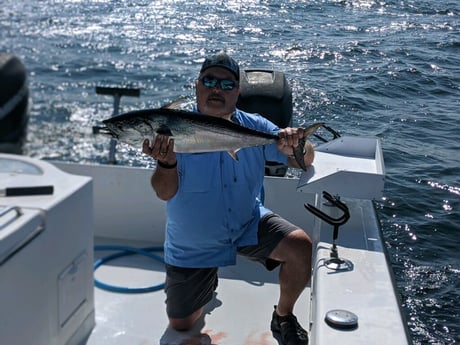 Little Tunny / False Albacore fishing in Whitney, Texas