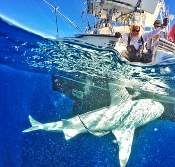 Fishing in Pompano Beach, Florida