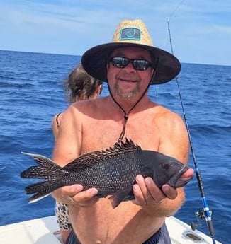 Black Seabass fishing in Wanchese, North Carolina