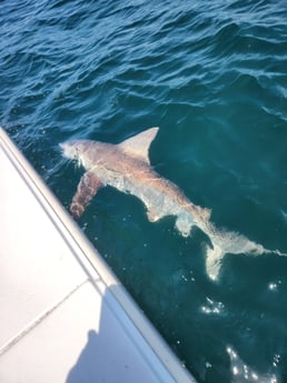 Fishing in Port Jefferson, New York