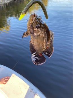 Fishing in Pembroke Pines, Florida