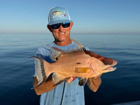 Fishing in Clearwater, Florida
