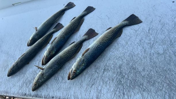 Fishing in South Padre Island, Texas