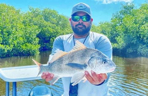 Black Drum Fishing in Tavernier, Florida