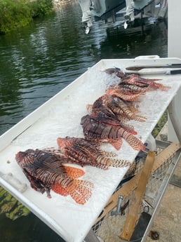 Fishing in Key West, Florida