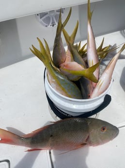 Fishing in Key West, Florida
