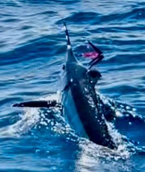 Fishing in Hatteras, North Carolina