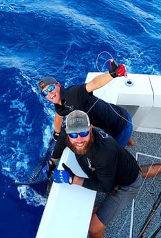 Black Marlin fishing in Galveston, Texas