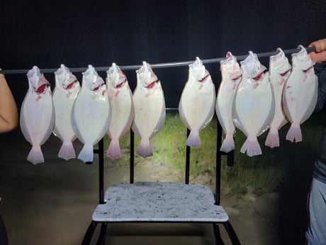 Flounder Fishing in Rio Hondo, Texas