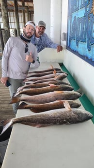 Redfish, Speckled Trout / Spotted Seatrout fishing in Port O'Connor, Texas
