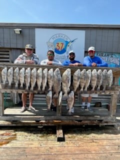 Black Drum Fishing in Corpus Christi, Texas