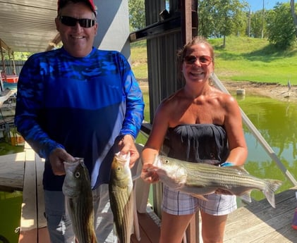 Striped Bass fishing in Pottsboro, Texas