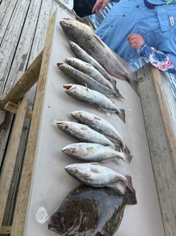 Fishing in Houston, Texas