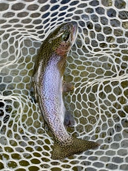 Fishing in Hume, California