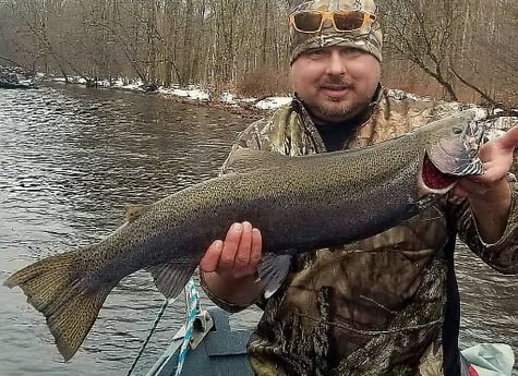 Steelhead Fishing in Verona Beach, New York