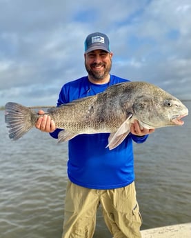 Black Drum fishing in Saint Bernard, Louisiana