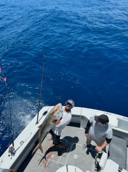 Fishing in Miami Beach, Florida
